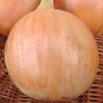 Лук Триумф F1 /25.000 семян/ *Moravoseed*