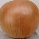 Лук Унико F1 /25.000 семян/ *Moravoseed*