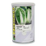 Капуста пекінська Піонер F1 /0,5 кг/ *Наско*