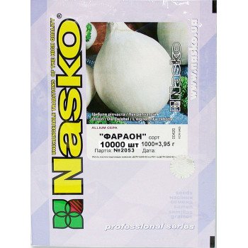 Лук Фараон /10.000 семян/ *Наско*