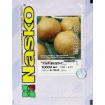 Цибуля Халцедон /10.000 насінин/ *Наско*