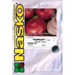 Лук Корсар /10.000 семян/ *Наско*