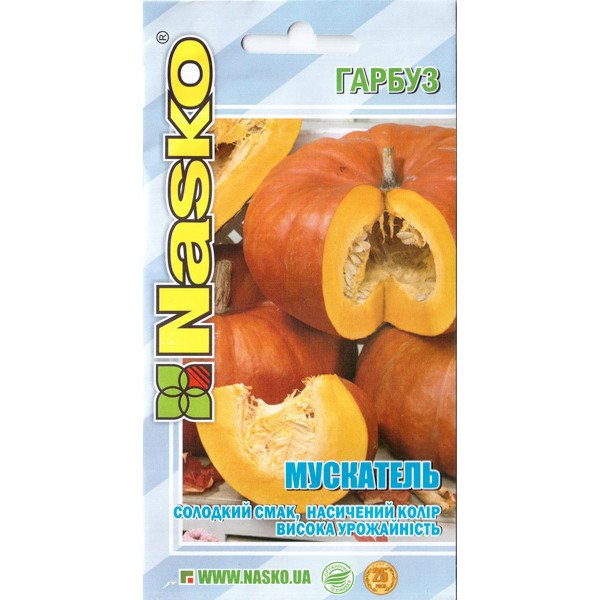 Семена тыквы Мускатель /10 семян/ *Наско*