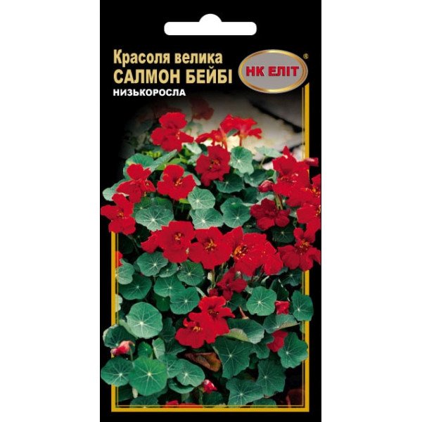 Красоля Салмон Бейби махровая красная /10 семян/ *НК Элит*