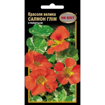 Красоля Салмон Глим махровая оранжевая /10 семян/ *НК Элит*