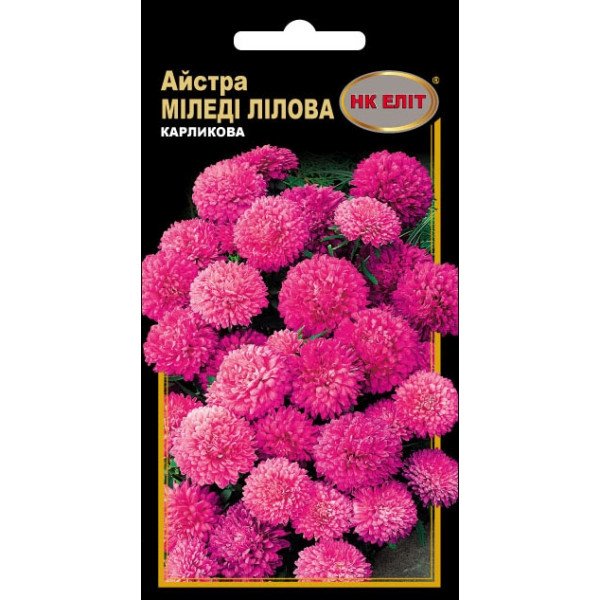 Астра Миледи лиловая /0,3 г/ *НК Элит*