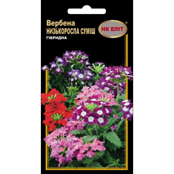 Вербена гібридна низькоросла суміш /0,1 г/ *НК Еліт*