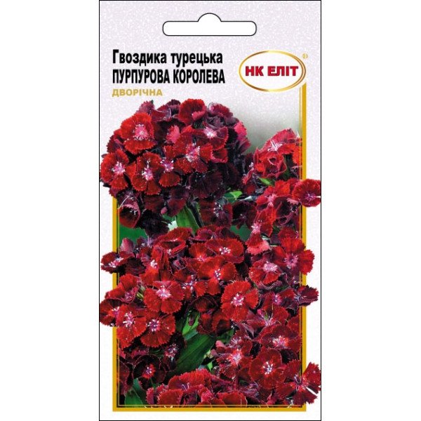 Гвоздика Турецька Пурпурова Королева /0,3 г/ *НК Еліт*