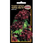 Гвоздика Турецкая Черная Магия /0,3 г/ *НК Элит*