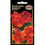 Красоля Диамант /10 семян/ *НК Элит*