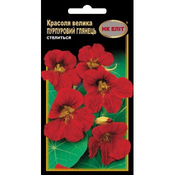 Красоля Пурпурный глянец /10 семян/ *НК Элит*