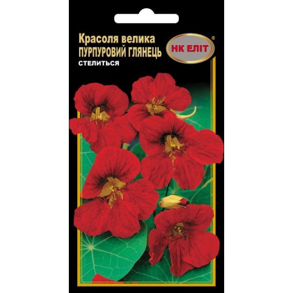 Красоля Пурпурный глянец /10 семян/ *НК Элит*