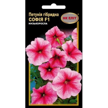 Петуния София /10 семян/ *НК Элит* *НК Элит*