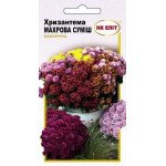 Хризантема махрова суміш /0,2 г/ *НК Еліт*