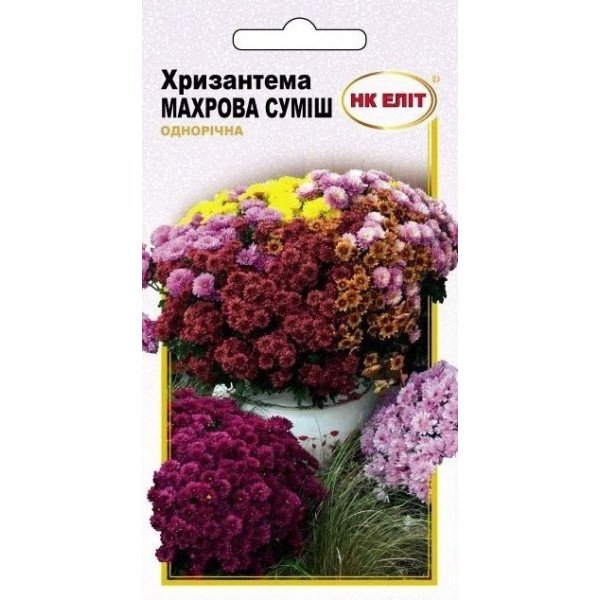Семена хризантемы махровой смеси /0,2 г/ *НК Элит*