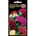 Целозия гребешковая махровая смесь /0,2 г/ *НК Элит*