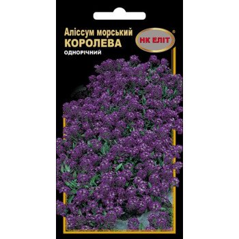 Алиссум морской Королева /0,2 г/ *НК Элит*