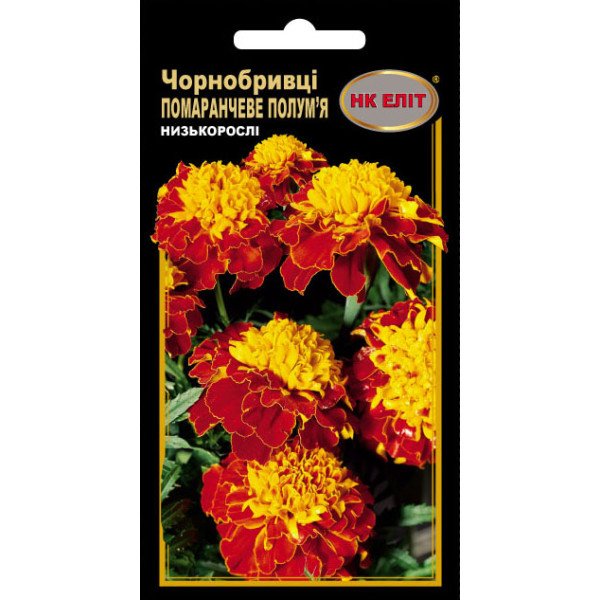 Семена Бархатцы Оранжевое пламя /0,3 г/ *НК Элит*