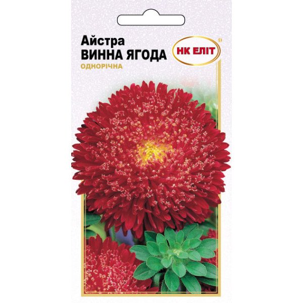 Семена Астра Винная ягода /0,3 г/ *НК Элит*