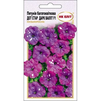 Петунія Дот Стар Дарк Ваіліт F1 /10 насінин/ *НК Еліт*