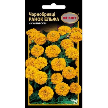 Чорнобривці Ранок Ельфа /0,5 г/ *НК Еліт*