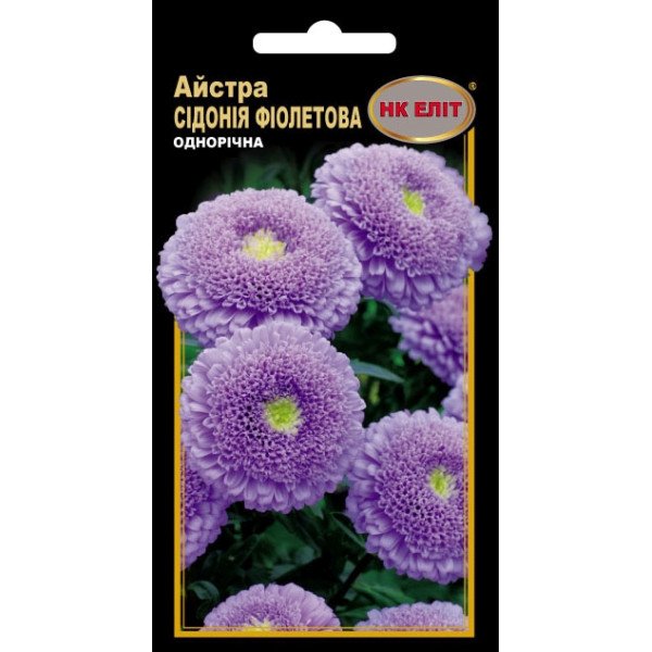 Айстра Сідонія фіолетова /0,3 г/ *НК Еліт*