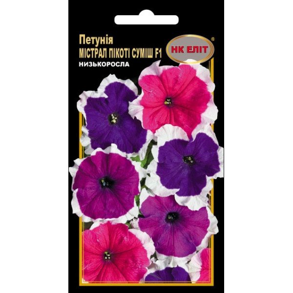 Петунія Містрал Пікоті F1 суміш /10 насінин/ *НК Еліт*