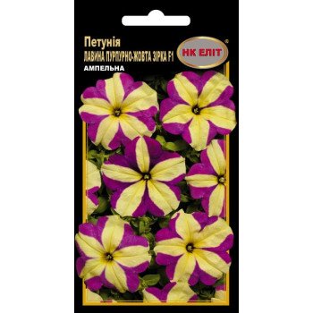 Петунія Лавина Пурпурно-жовта зірка F1 /10 насінин/ *НК Еліт*