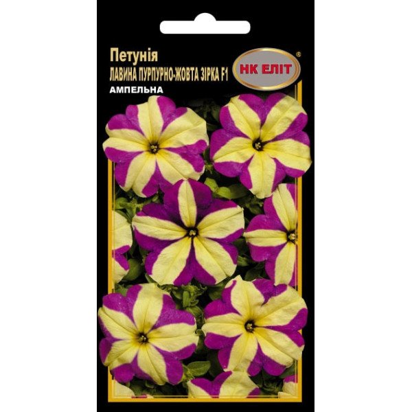Петунія Лавина Пурпурно-жовта зірка F1 /10 насінин/ *НК Еліт*