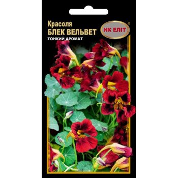 Красоля Блек Вельвет /10 семян/ *НК Элит*