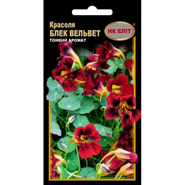 Красоля Блек Вельвет /10 семян/ *НК Элит*