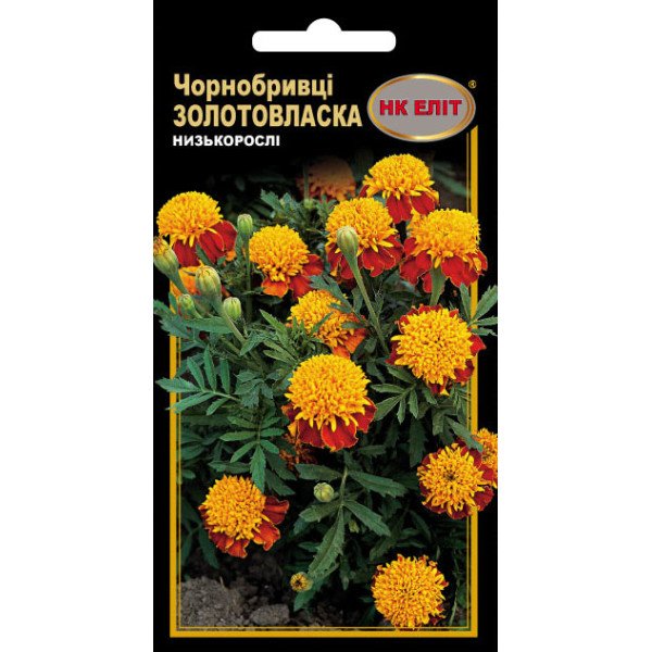 Чорнобривці Золотовласка /0,3 г/ *НК Еліт*
