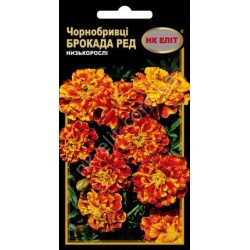 Чорнобривці Брокада Ред /0,3 г/ *НК Еліт*