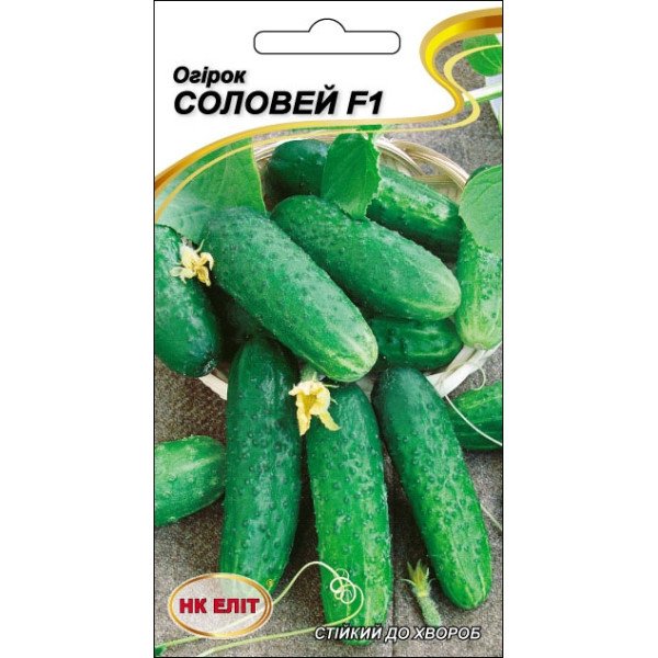 Огурец Соловей F1 /15 семян/ *НК Элит*