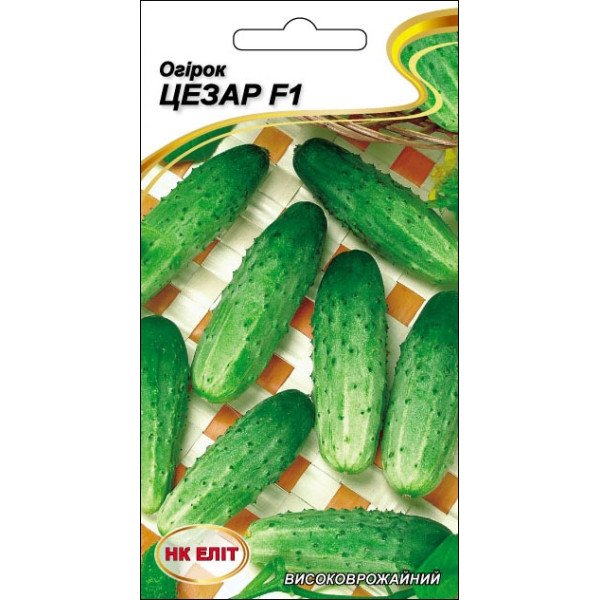 Огірок Цезар F1 /15 насінин/ *НК Еліт*