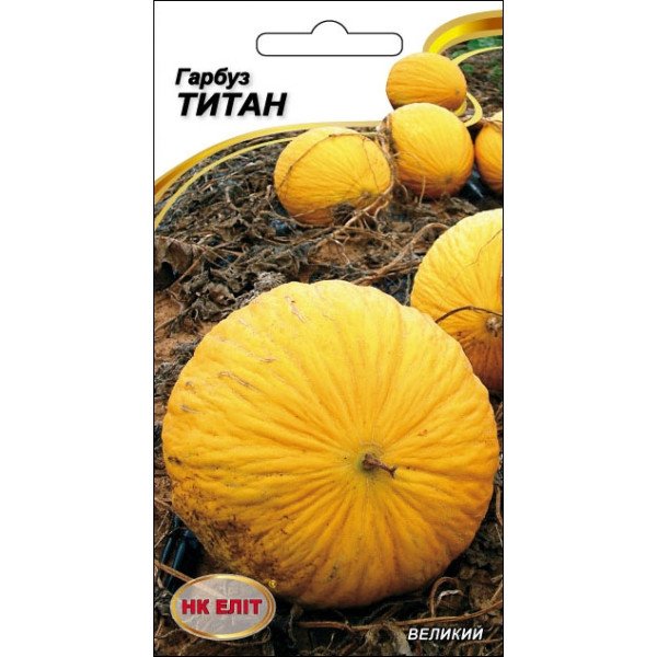 Тыква Титан /5 семян/ *НК Элит*