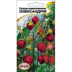 Суниця Олександрія ремонтантна /0,1 г/ *НК Еліт*
