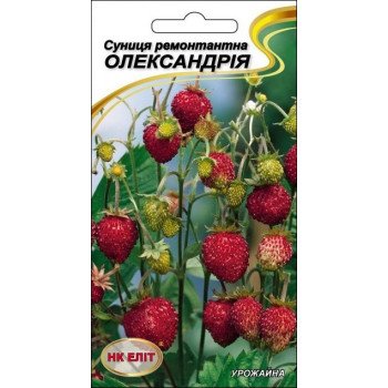 Земляника Александрия ремонтантная /0,1 г/ *НК Элит*