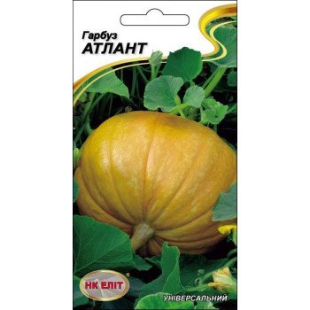 Тыква Атлант /10 семян/ *НК Элит*