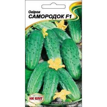 Огурец Самородок F1 /15 семян/ *НК Элит*