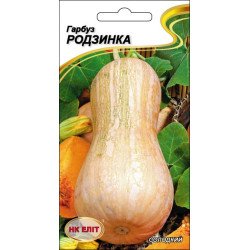 Гарбуз Родзинка /10 насінин/ *НК Еліт*