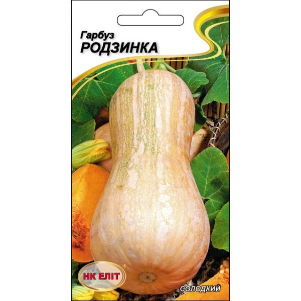 Тыква Изюминка /10 семян/ *НК Элит*