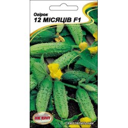 Огірок 12 місяців F1 /10 насінин/ *НК Еліт*