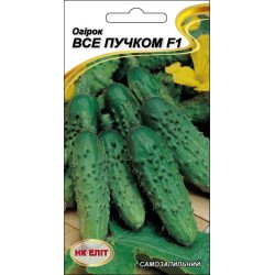 Огурец Все пучком F1 /10 семян/ *НК Элит*