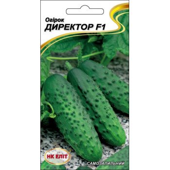 Огурец Директор F1 /10 семян/ *НК Элит*