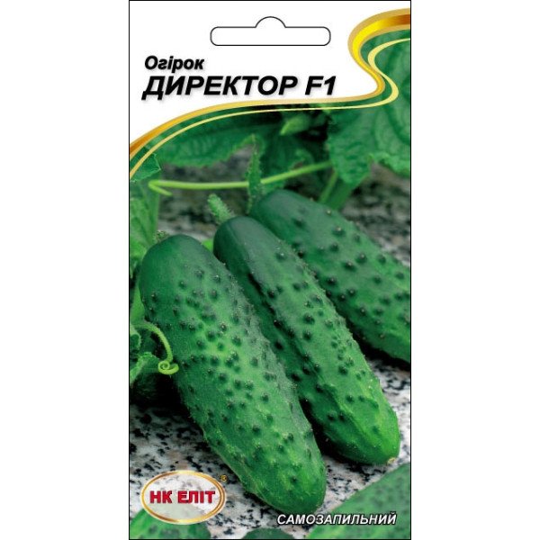 Огурец Директор F1 /10 семян/ *НК Элит*
