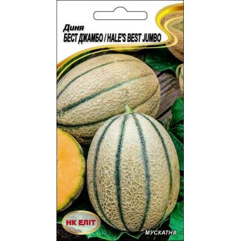 Диня Бест Джамбо /1 г/ *НК Еліт*