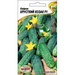 Огірок Хрусткий Козак F1 /15 насінин/ *НК Еліт*