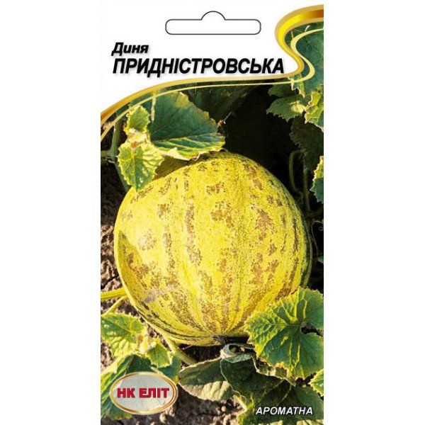 Диня Придністровська /1 г/ *НК Еліт*