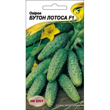 Огірок Бутон Лотоса /10 насінин/ *НК Еліт*